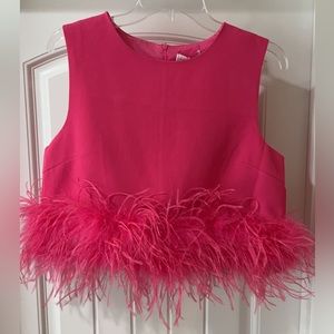 Pink top with feathers